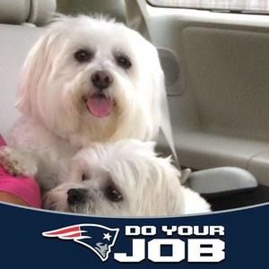 Meet your Posher, Ginny